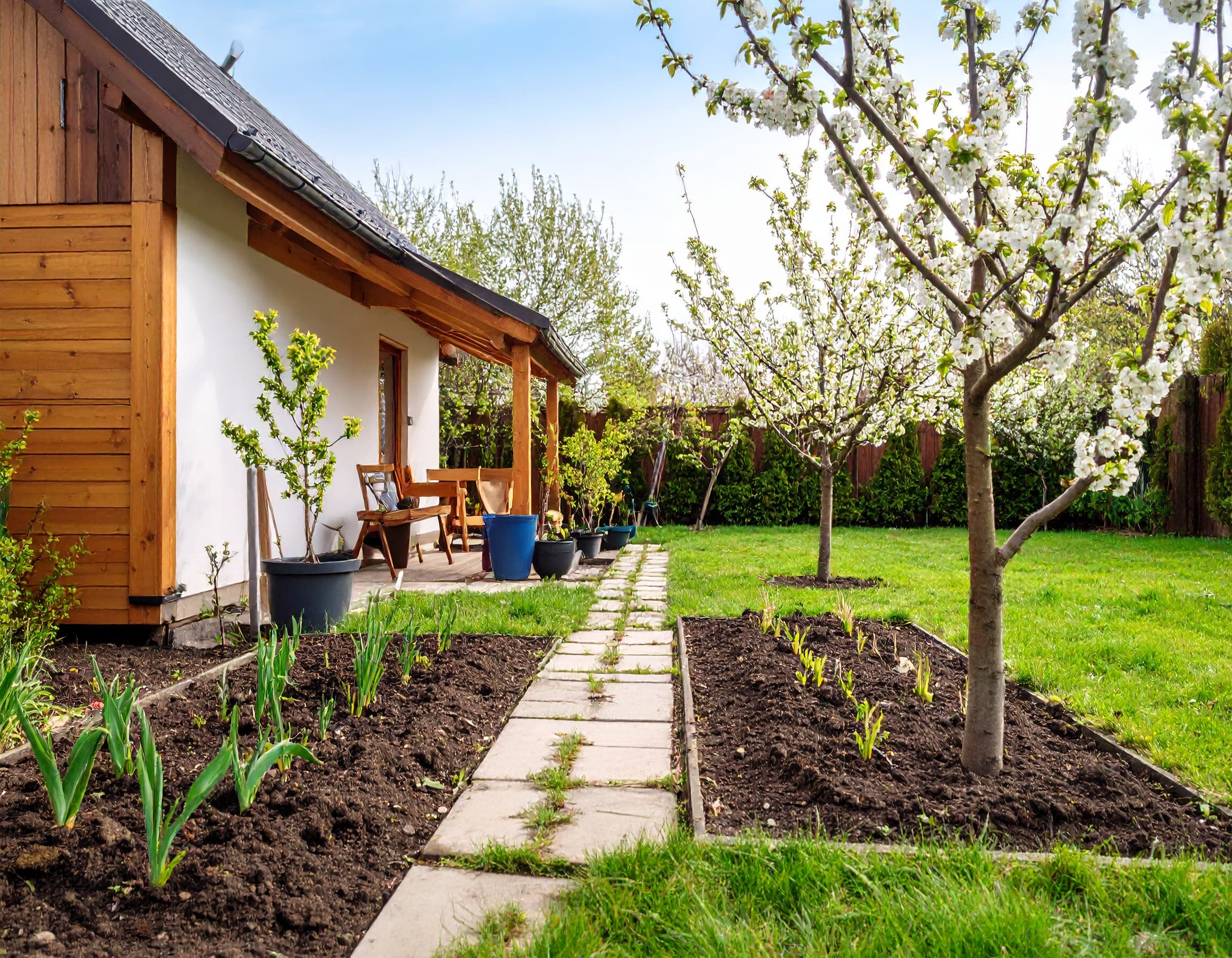Blühender Garten im frühen Frühling mit ersten Setzlingen und blühenden Obstbäumen