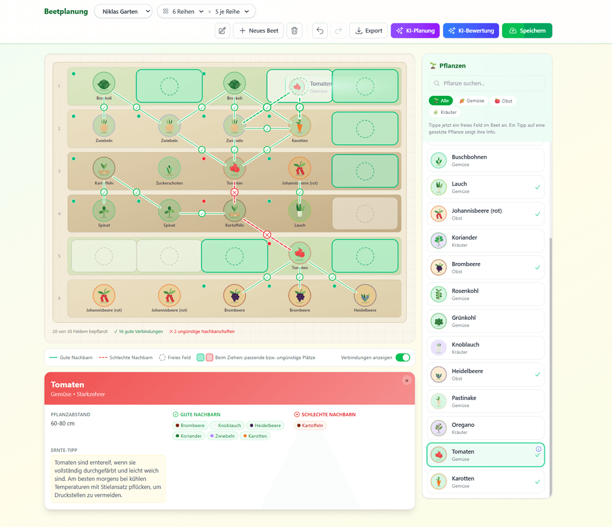 Beetplaner Grid-View mit Nachbarschaftsverbindungen
